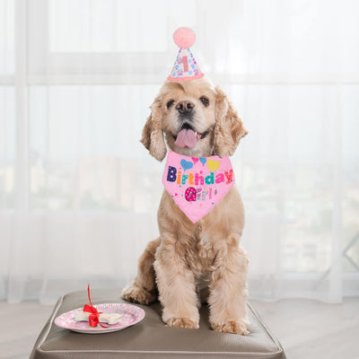 Dog Birthday Party Supplies Boy Girl Dog Birthday Hat With Numbers Dog Puppy Birthday Bandana Hat Bow  Puppy Birthday Hat