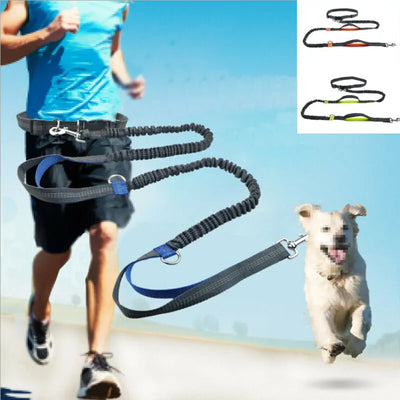 Reflective Rope Pet Leashes