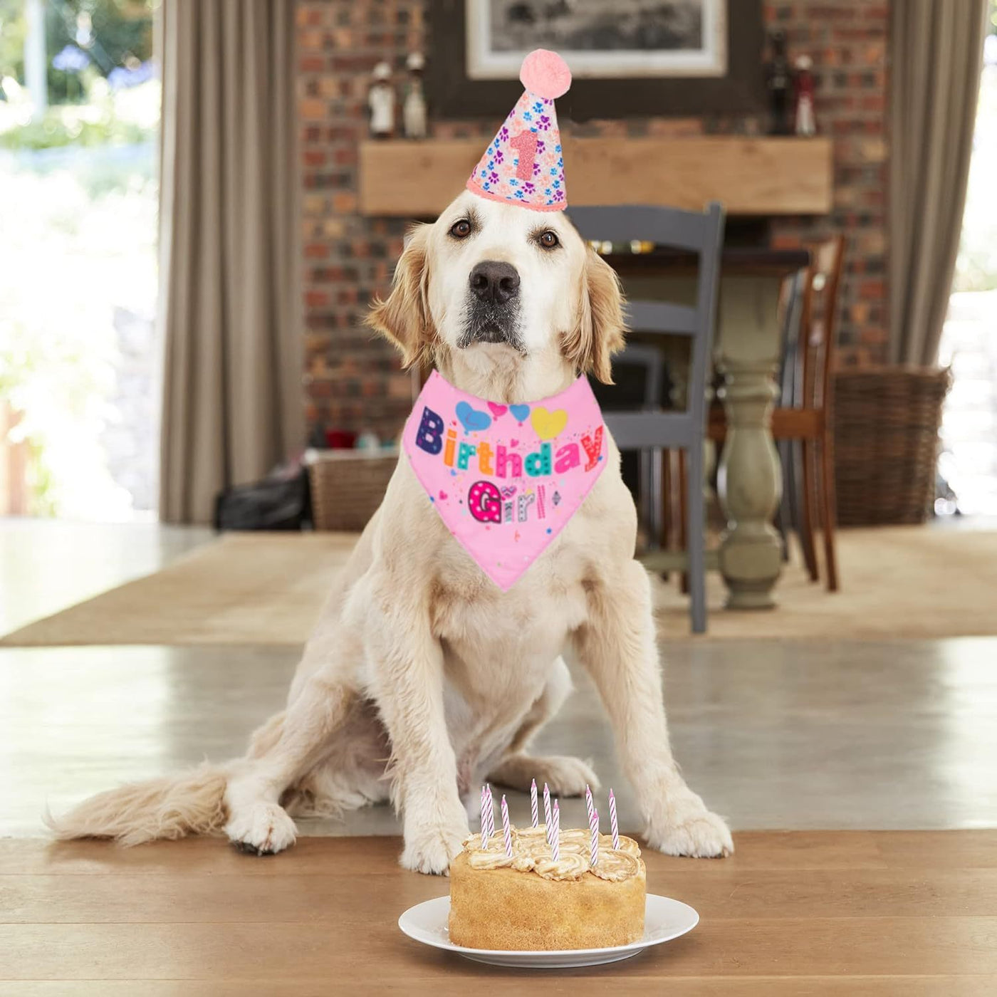 Dog Birthday Party Supplies Boy Girl Dog Birthday Hat With Numbers Dog Puppy Birthday Bandana Hat Bow  Puppy Birthday Hat