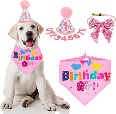 Dog Birthday Party Supplies Boy Girl Dog Birthday Hat With Numbers Dog Puppy Birthday Bandana Hat Bow  Puppy Birthday Hat