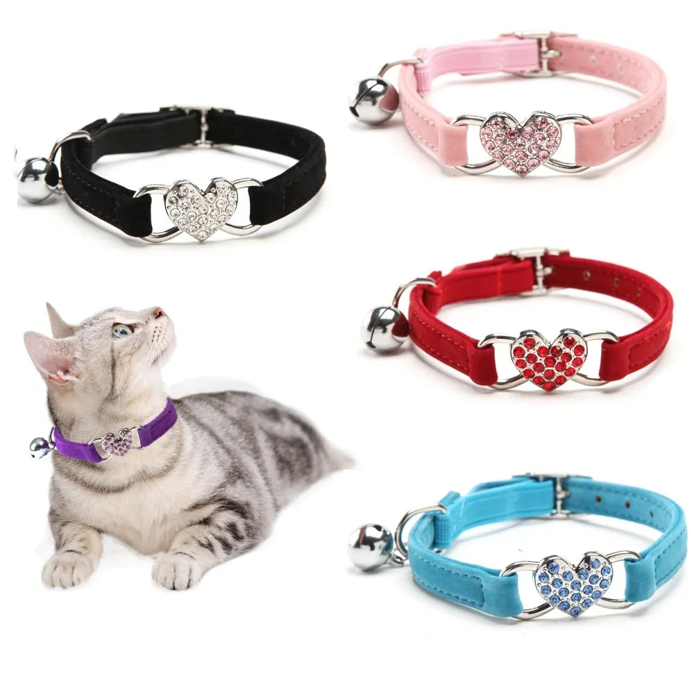 Kitten Puppy Leash Collars