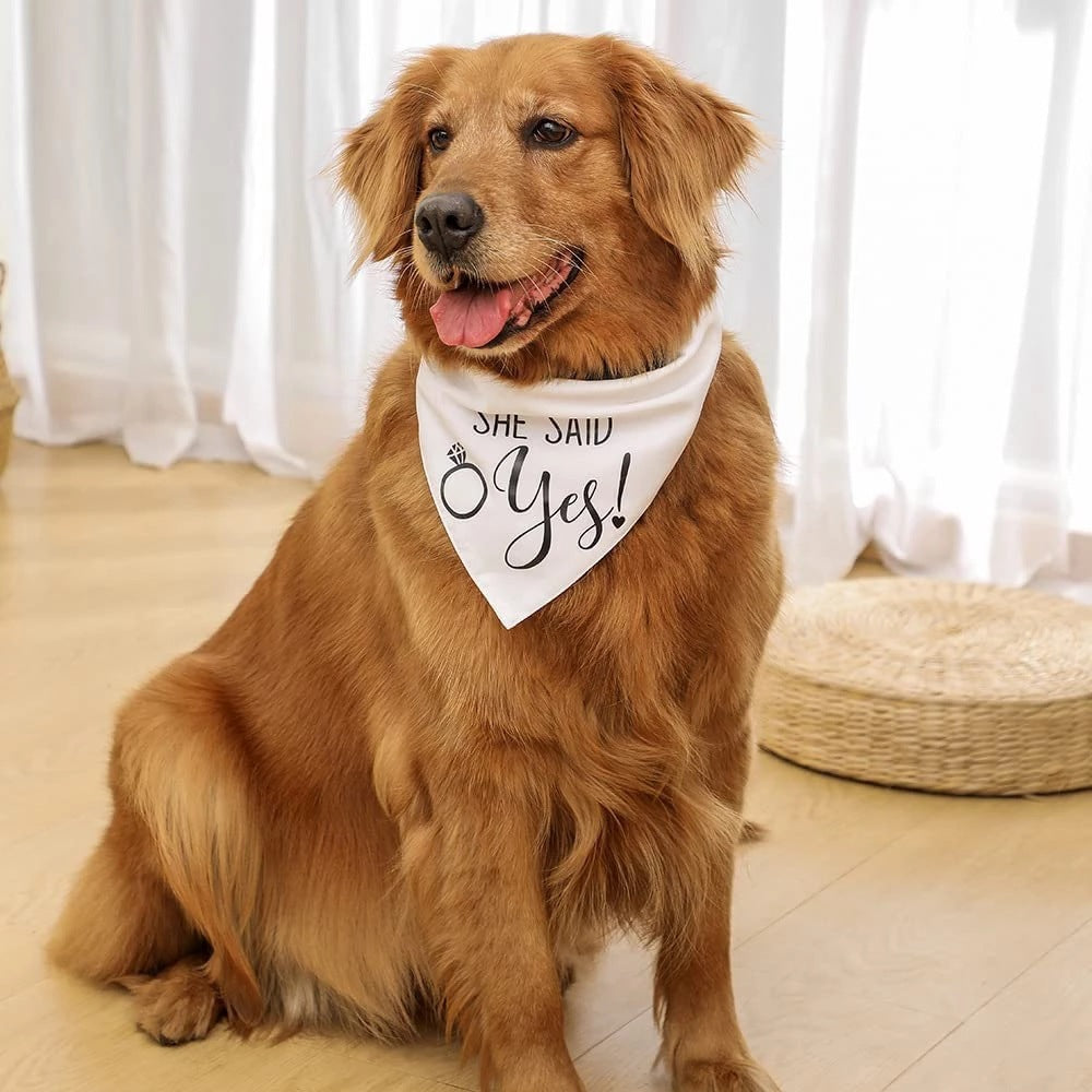 Dog Wedding Bandana My Humans Are Getting Married She Said